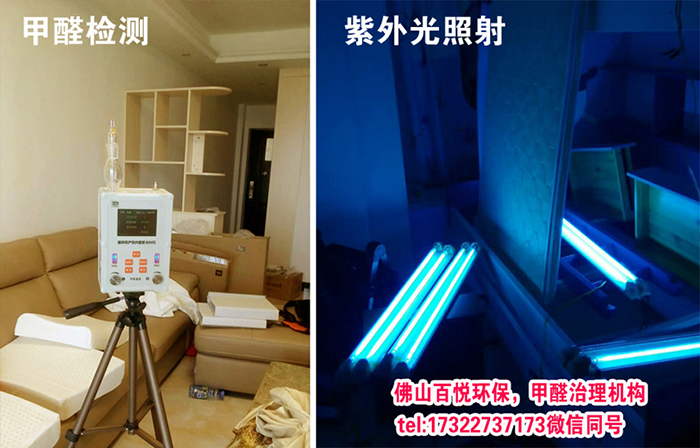 佛山夏季甲醛最“跋扈獗”的!有了室内除甲醛植物,可以安枕无忧?