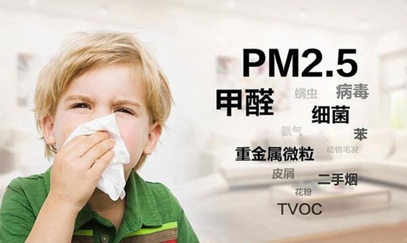 佛山办公室除甲醛土方法 佛山新房除甲醛什么价格?