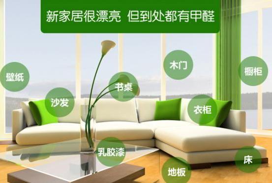 在佛山办公室除甲醛哪家专业方法?怎样打造环保无味办公室 佛山除甲醛