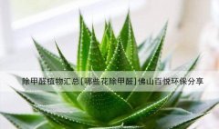 除甲醛植物汇总[哪些花除甲醛]佛山百悦环保分享