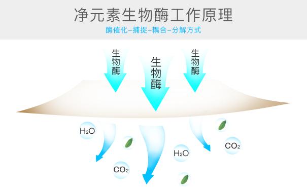 光触媒、生物酶、空气净化器，哪家除甲醛公司效果好？